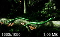 91789cc014325d02e50ac5293e259240.jpg.jpeg
