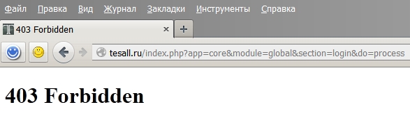9196253.jpg.jpeg