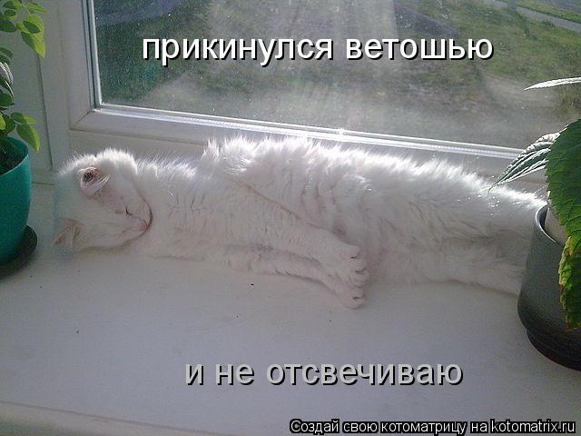 936170.jpg.jpeg