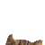 96a51507675e3c08680af8402c938339.gif