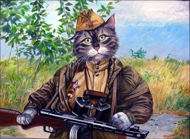 978205-R3L8T8D-650-0_8fe0f_7803fd46_XXL.jpg.jpeg