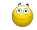 9995cc5ccd7552ddfd63cee82062905f.gif