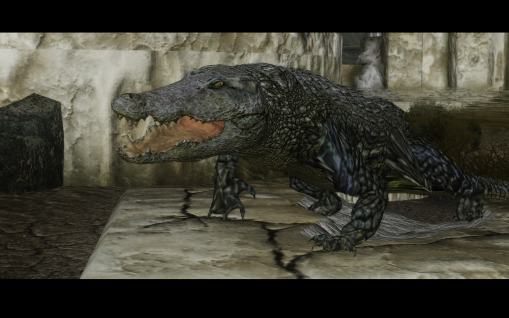 9d49aa066c4d.png.webp.png