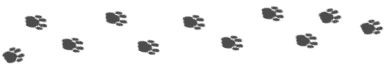9db1ac04617cf0c8.png.png