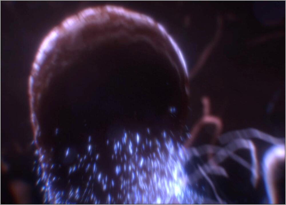 9e74c5580dea.jpg.jpeg
