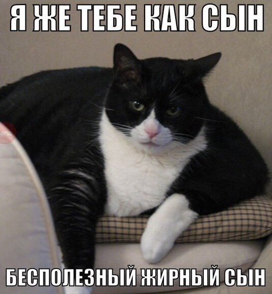 A-NyCKEIZ7w.jpg.jpeg