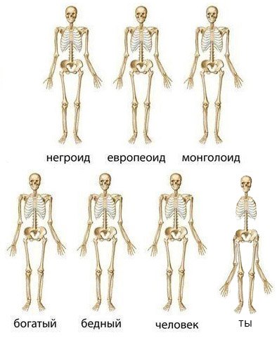 a412a0.jpg.jpeg