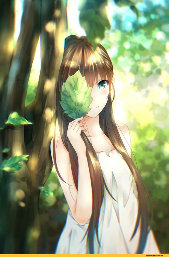 a651079b3a1802270752f455929422b1.jpg.jpeg