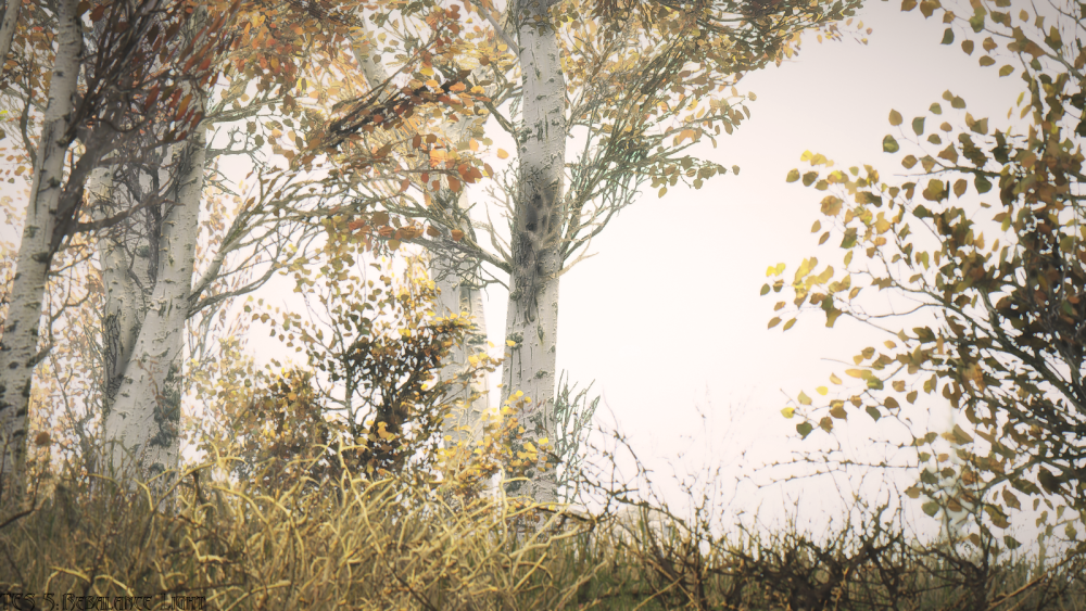 a6fc84964d07.png.webp.png