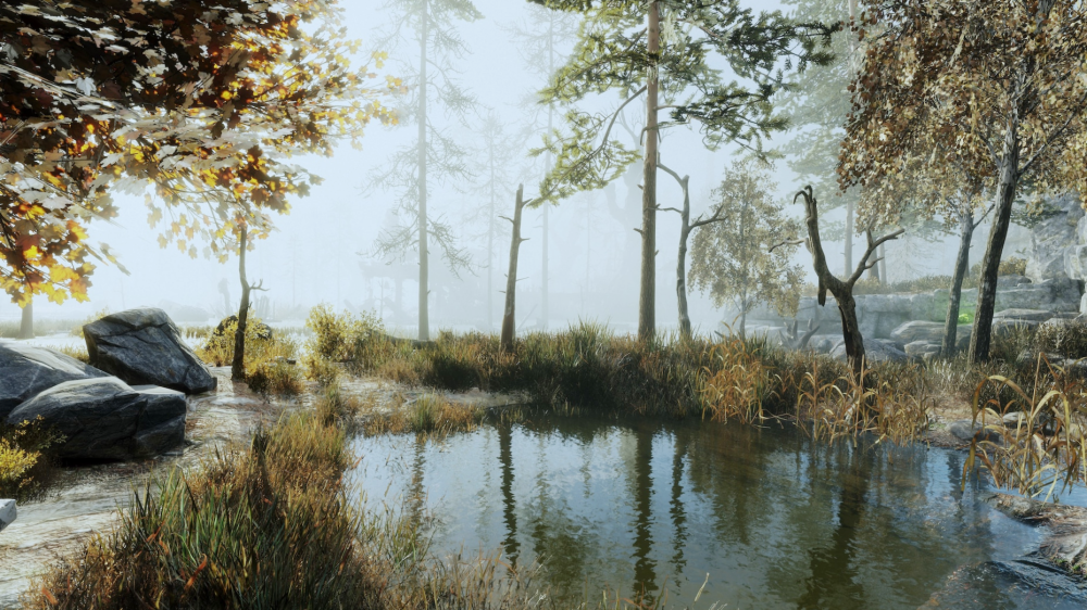 a70216aa7966.png.png