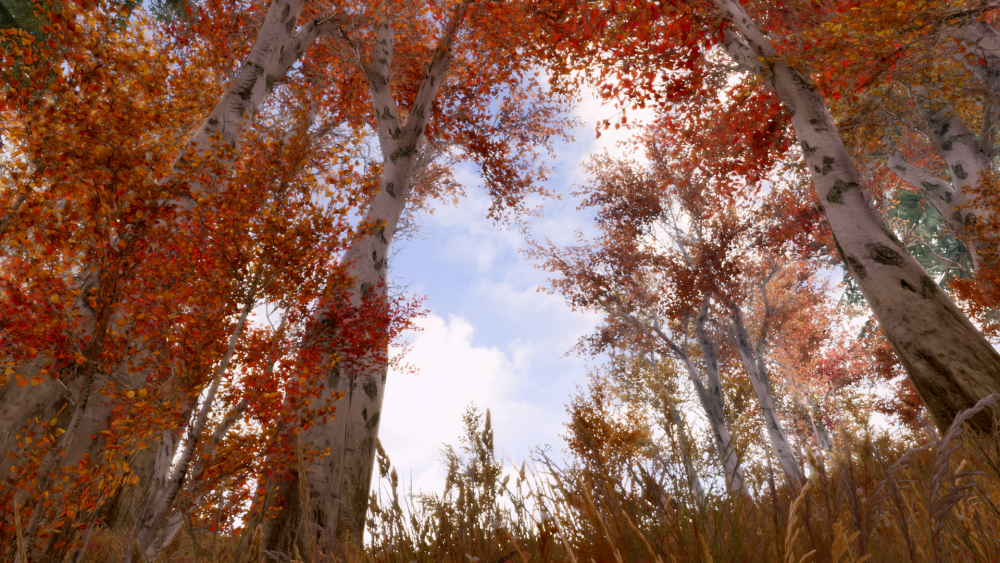 a7564c94ccd6.png.webp.png