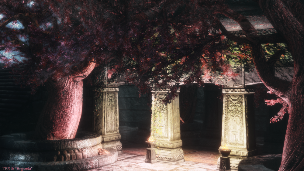 a8da358ab11e.png.webp.png