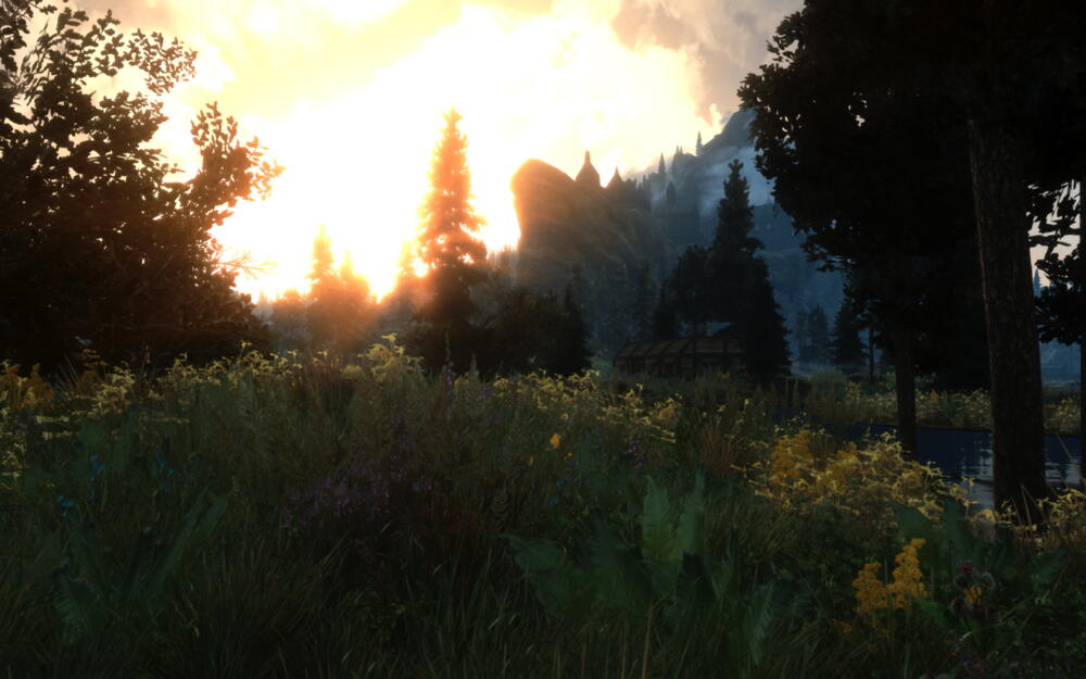 a91652a837d6.jpg.jpeg