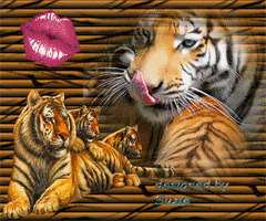 ab3f74e41aad6b26dbe13f991598fde9.gif