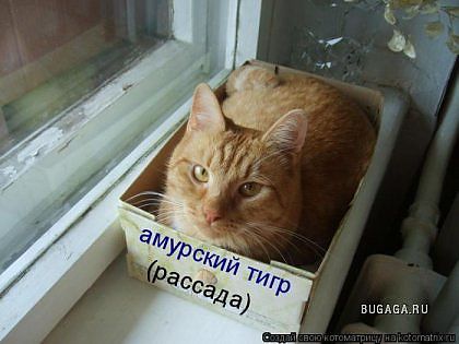 abd7f5684c5d98e41c287e8cd5fe1eb6.jpg.jpeg