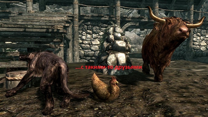 acd21919bbab.jpg.jpeg