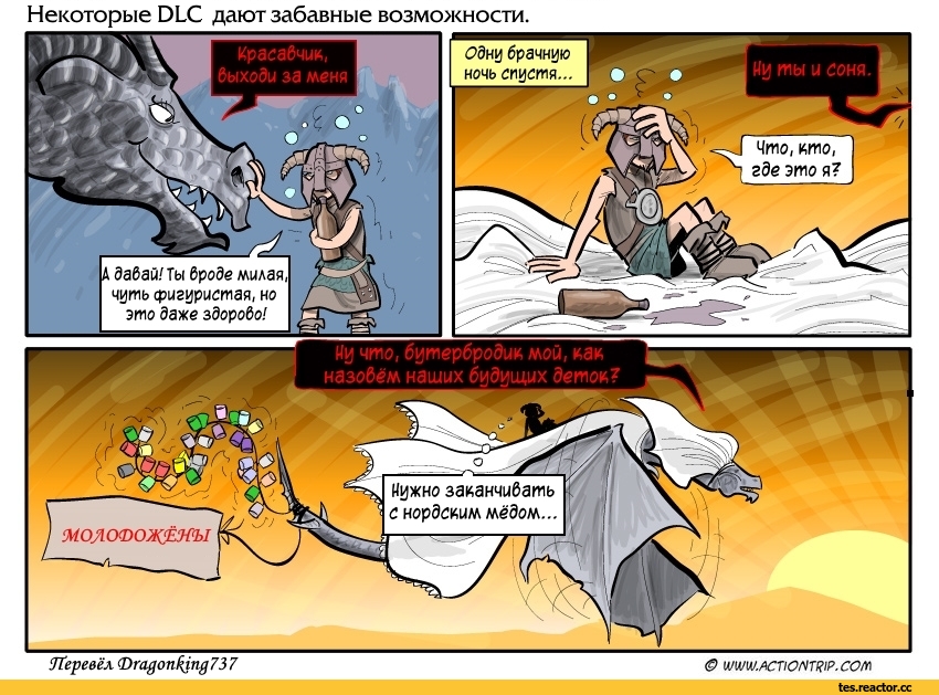 actiontrip-%D0%9A%D0%BE%D0%BC%D0%B8%D0%BA%D1%81%D1%8B-Skyrim-The-Elder-Scrolls-3068370.jpg.jpeg