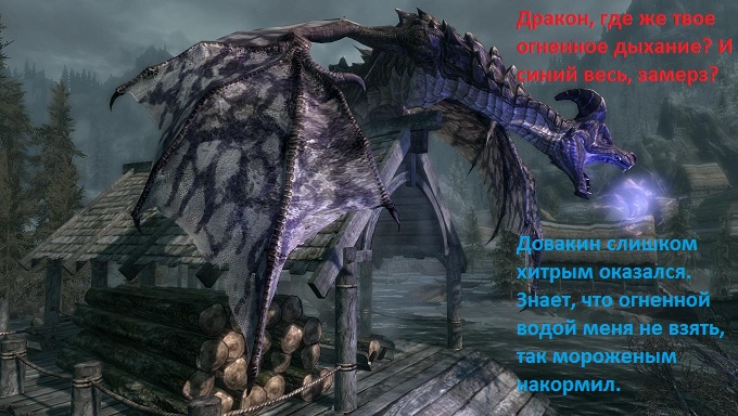 af2eaa1e9dd5.jpg.jpeg