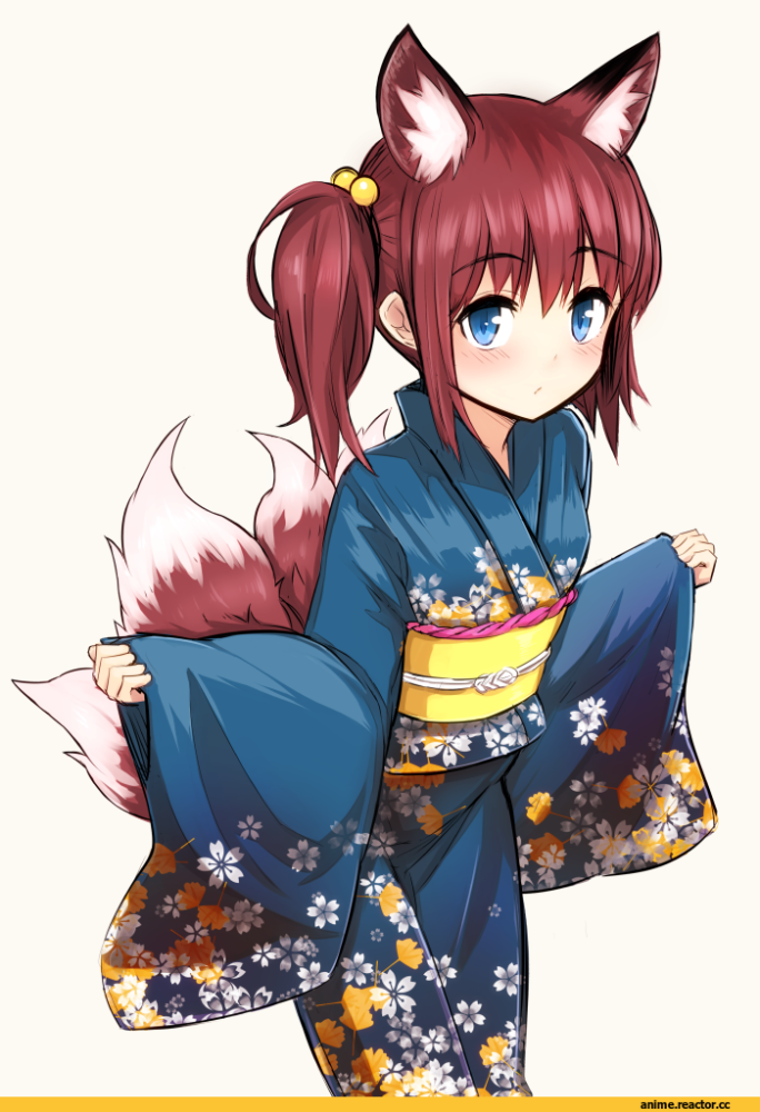 Anime-Anime-Original-Nosuku-fox-1000233.png.webp.png