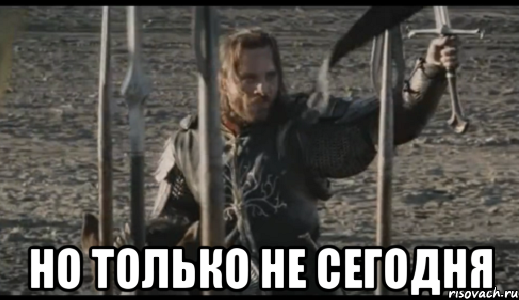 aragorn_15275148_orig_.png.webp.png