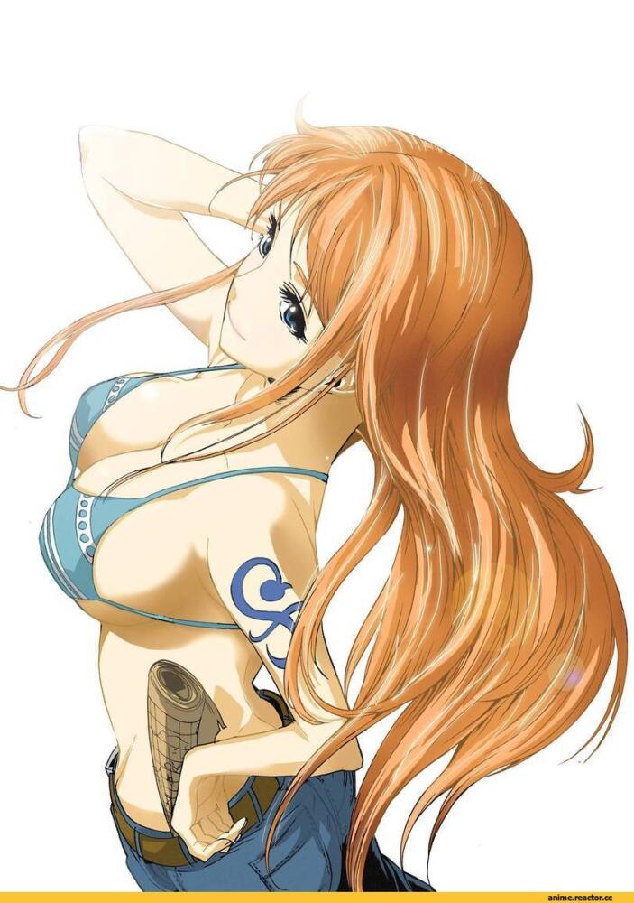 art-anime-One-Piece-%D0%9D%D0%B0%D0%BC%D0%B8-215101.jpg.jpeg
