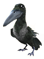 Raven