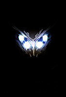 Balizam