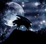 Wolfessa