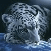 Monowar