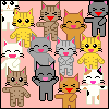 tinykat