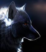 DarkWolf