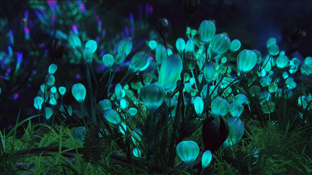 avatar_hd_wallpaper_11_by_ihateyouare.jpg.jpeg