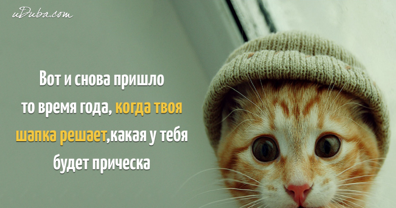 b4730ff7b57e36bac9094eaf42574a6d_783x0.png.webp.png