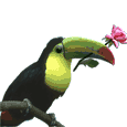 b5a6439c35dc951257d5ae8bda2bd28f.gif