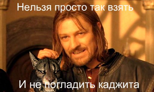 B7PeMsoo7KE.jpg.jpeg