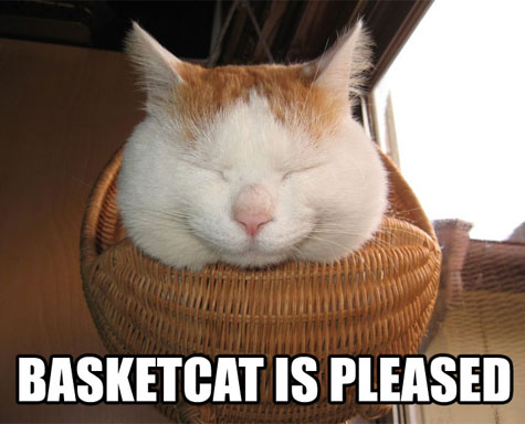 basketcat-is-pleased.jpg.jpeg