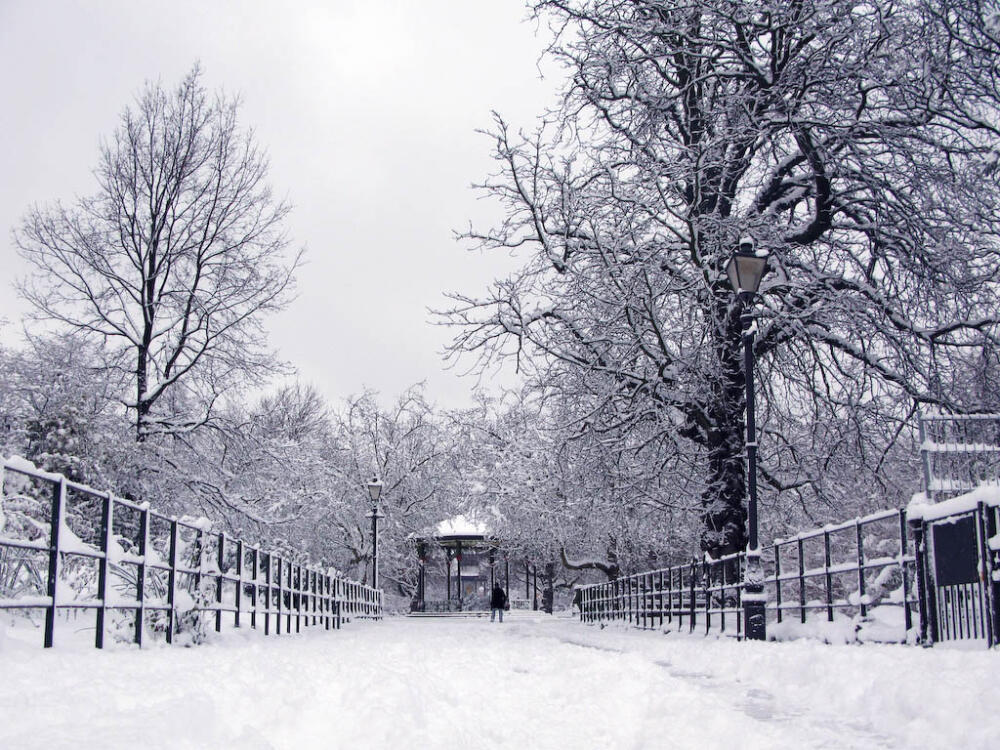 Battersi-Park-zimoy.jpg.jpeg