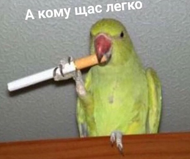 -bbks4rvG4M.jpg.jpeg