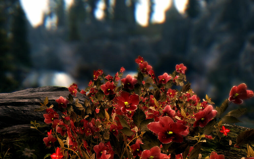 bc3d58b765da.jpg.jpeg