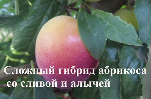 bd38e7b2414e73daaec777afd773c07c.jpg.jpeg