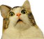 bede13f15e40066a4f0c768570c33a9b.PNG.webp.png