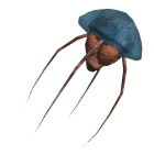BettyNetch.gif