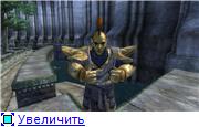 bfa33a3fd1b2t.jpg.jpeg