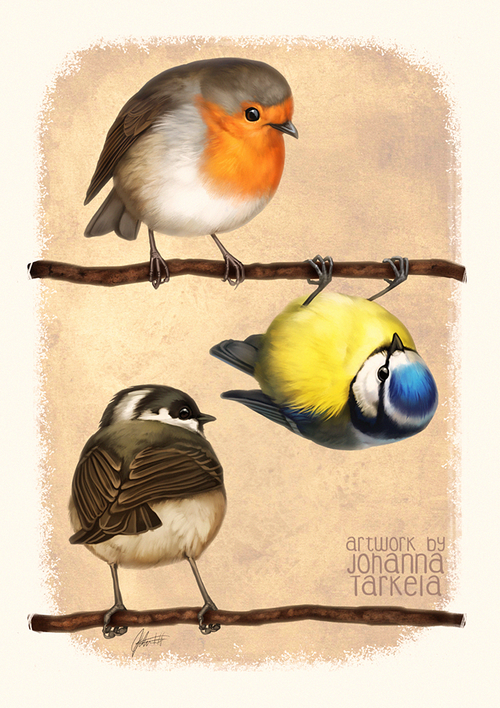 birds_by_lhuin-da1755y.jpg.jpeg