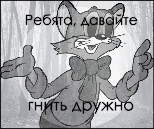 BKyQUf43Ki4.jpg.jpeg