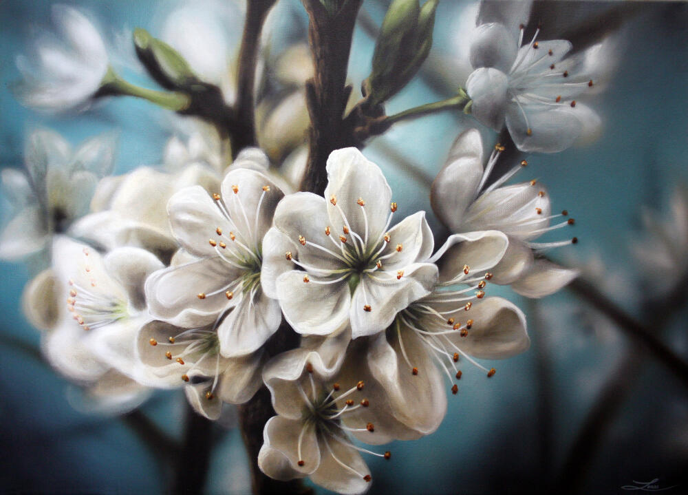 blossom_second_version_by_urm-d39jrqy.jpg.jpeg