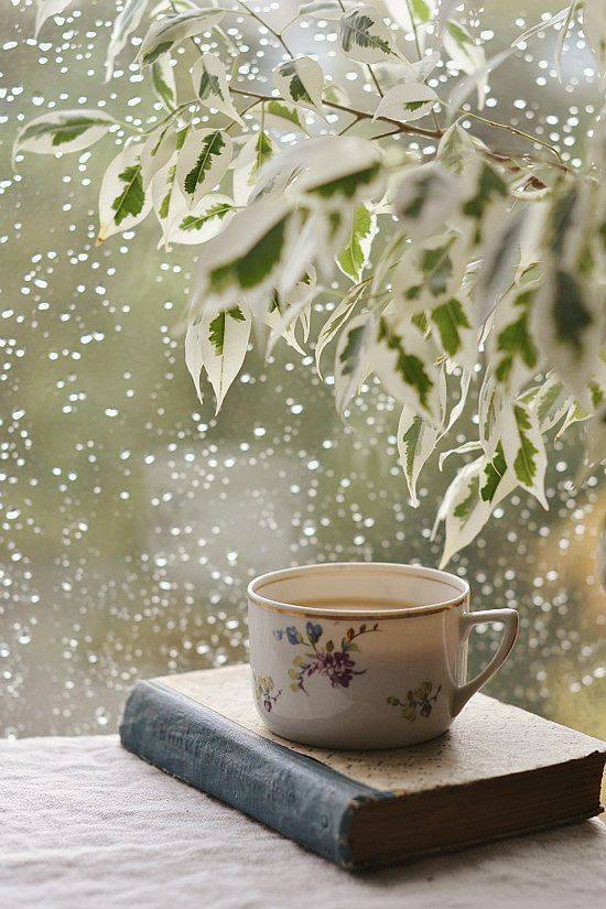book-coffee-love-morning-Favim.com-2586933.jpg.jpeg