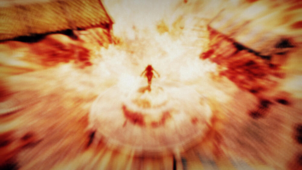 c06af79d0ebf.jpg.jpeg