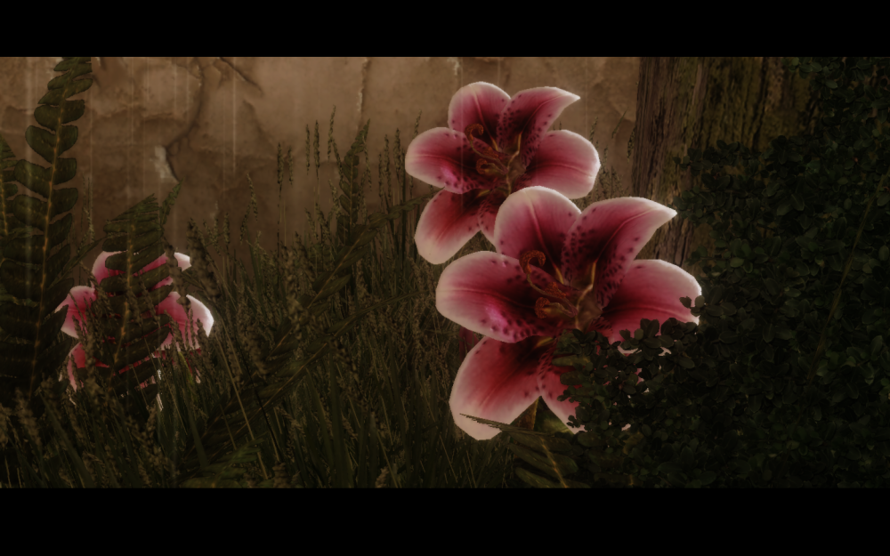 c4208adc8d6d.png.webp.png
