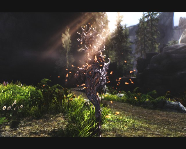 c4d56b529f1e.jpg.jpeg